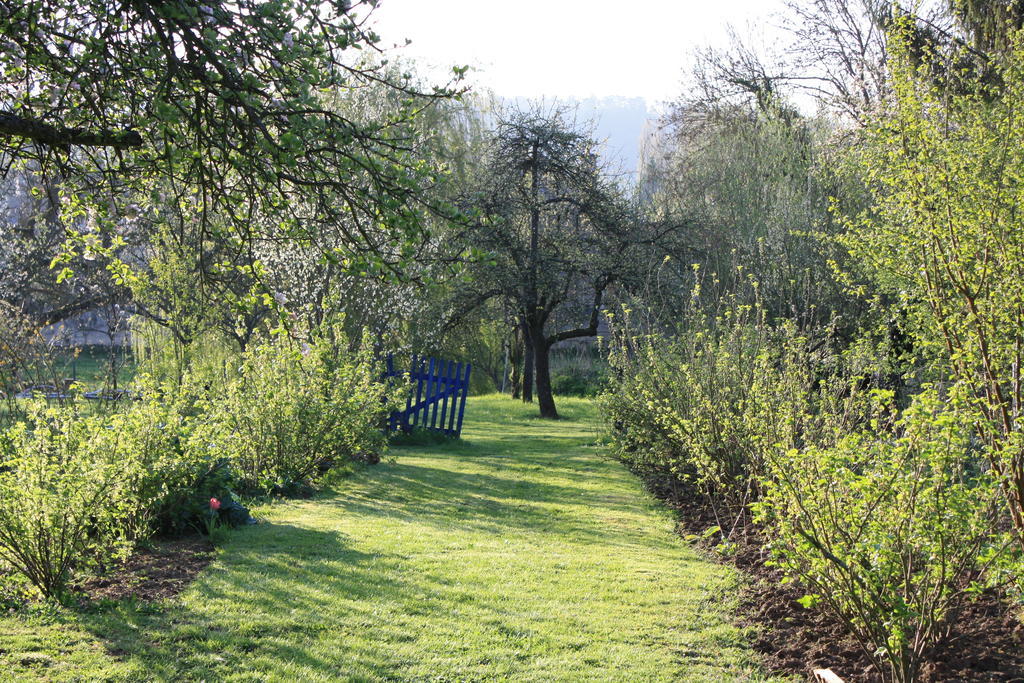 La Barbotine Bed & Breakfast Septmonts Dış mekan fotoğraf